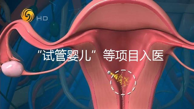 “試管嬰兒”等項目入醫保能如期落地嗎?廣西回應