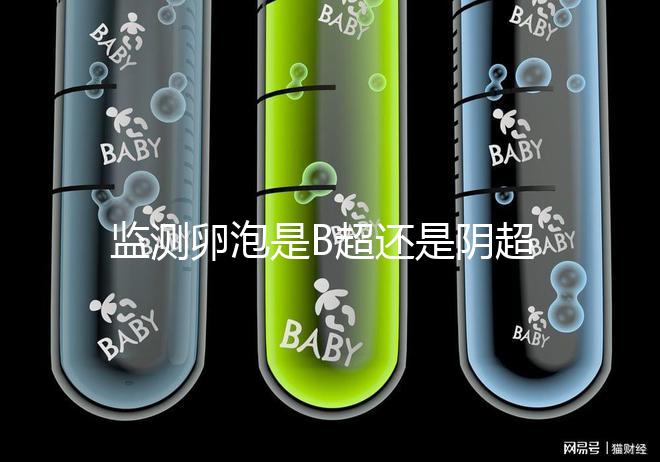 監(jiān)測(cè)卵泡是B超還是陰超？陰道超聲和腹部超聲的區(qū)別不止探頭