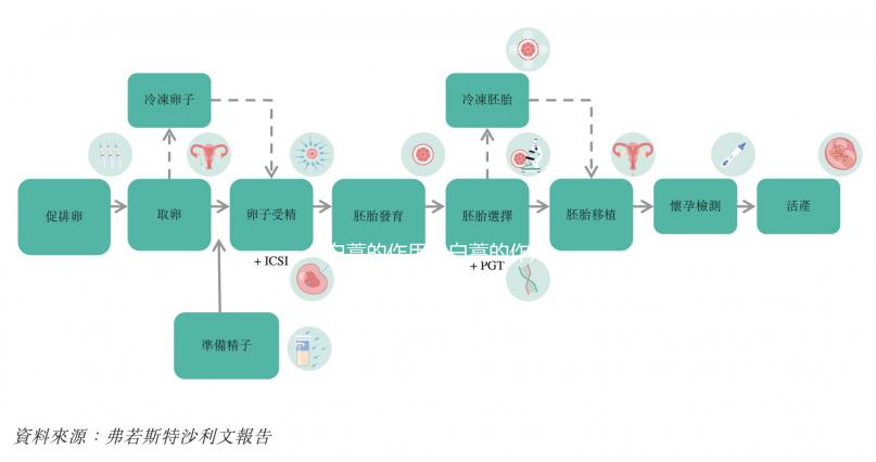 白蒿的作用（白蒿的作用與功效）