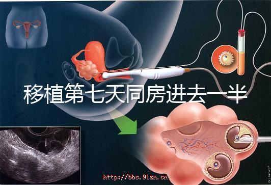 移植第七天同房進(jìn)去一半有無(wú)影響戳，沒(méi)出血問(wèn)題就不大