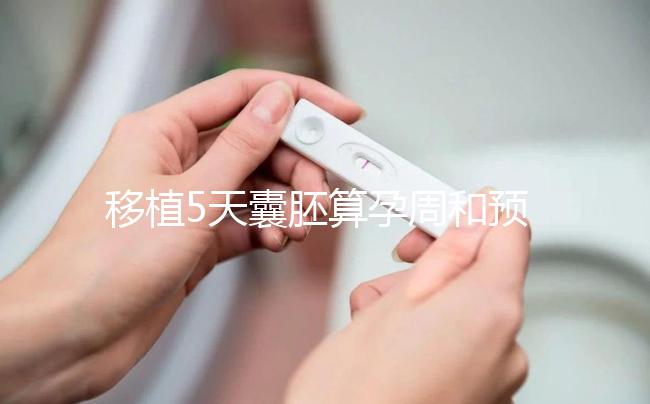 移植5天囊胚算孕周和預(yù)產(chǎn)期有訣竅，專家：用這2種方法
