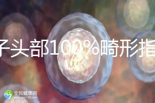 精子頭部100%畸形指數1.69，試管這條路還能通