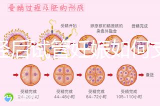 絕經后試管妊娠如何支持黃體戳，醫(yī)生：掌握時間很重要