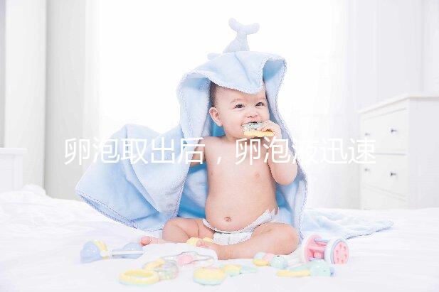 卵泡取出后，卵泡液迅速凝固異常發生了什么事