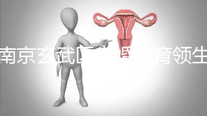 南京玄武區(qū)未婚生育領(lǐng)生育金看條件,社會(huì)撫養(yǎng)費(fèi)交不了多少