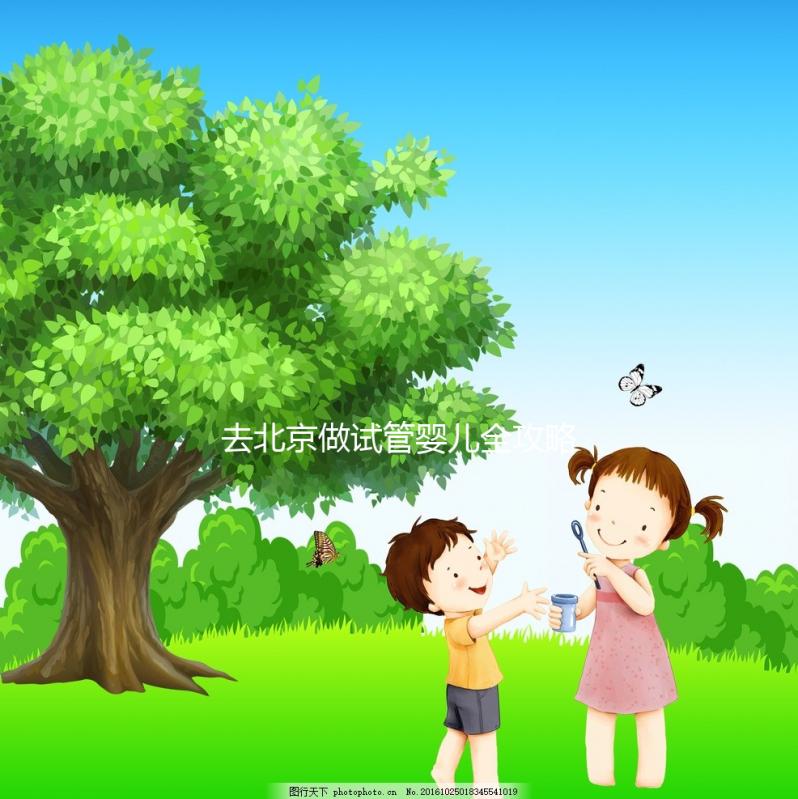 去北京做試管嬰兒全攻略：費用明細、醫院選擇及成功率分析