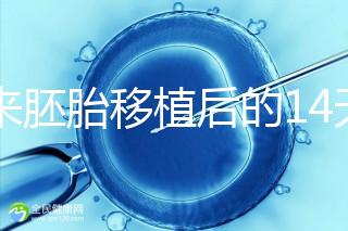 原來胚胎移植后的14天，這些信號預示著床成功