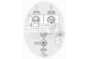 兒科醫(yī)生提醒:輪狀疫苗有不良反應(yīng),輕微表現(xiàn)持續(xù)時(shí)間短