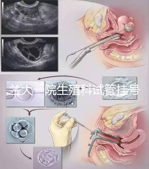 蘭大一院生殖科試管掛號多少錢別還不造，預約攻略來了