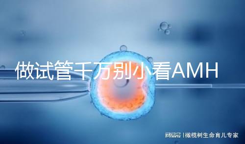 做試管千萬別小看AMH值，想手術必須先滿足其最低要求