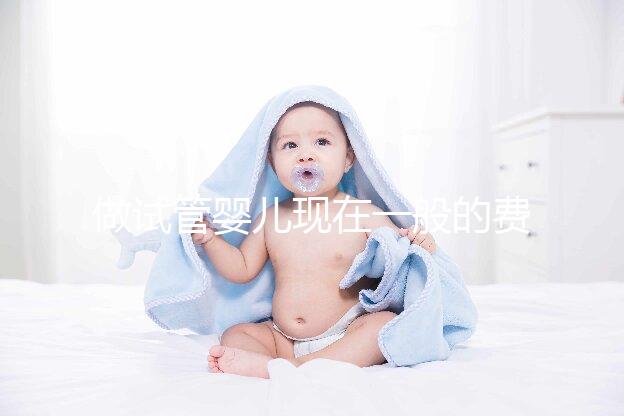 做試管嬰兒現(xiàn)在一般的費用是多少