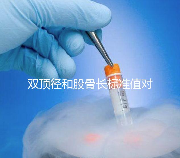 雙頂徑和股骨長(zhǎng)標(biāo)準(zhǔn)值對(duì)照表，各懷孕周數(shù)差異明顯