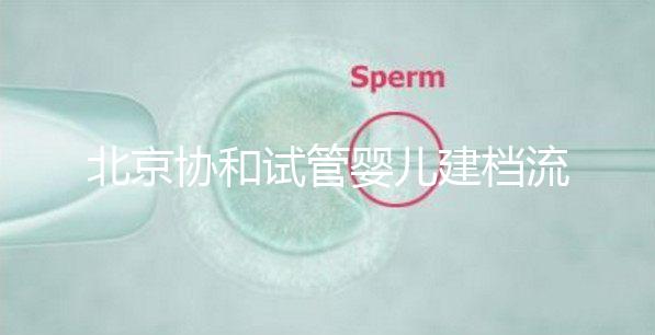 北京協和試管嬰兒建檔流程介紹，到院后掛號必不可少