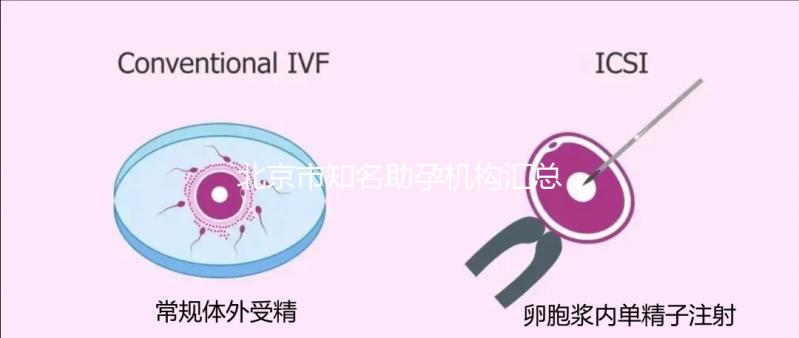 北京市知名助孕機構匯總，成功率多少一看便知！