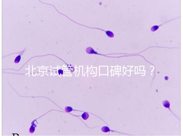 北京試管機構口碑好嗎？哪個醫(yī)院靠譜？