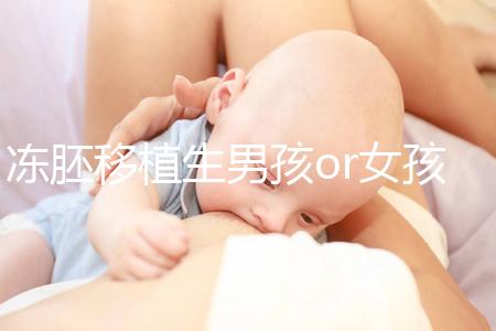 凍胚移植生男孩or女孩機(jī)率真不同，哪個(gè)大請(qǐng)看數(shù)據(jù)說(shuō)話