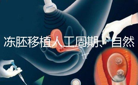 凍胚移植人工周期、自然周期怎么選？哪個成功率高？