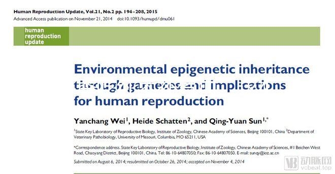 冬季吃紅棗補(bǔ)氣血,這4大禁忌孕婦千萬(wàn)別犯