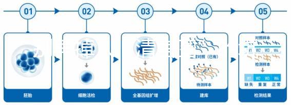 別再掉入“清宮圖”的坑中！備孕不應(yīng)錯(cuò)過女性最佳生育年齡