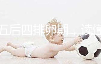 前五后四排卵期，讀懂排卵期與排卵日的區別