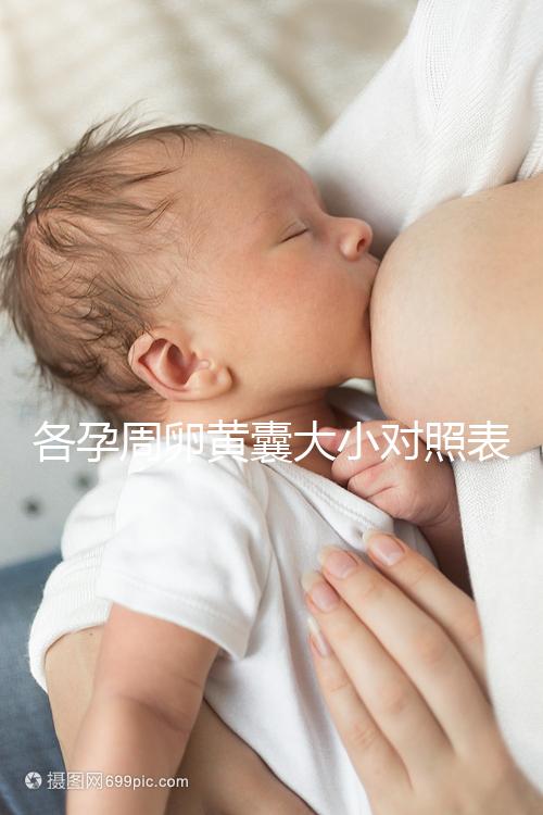 各孕周卵黃囊大小對照表，偏大、偏小都不正常