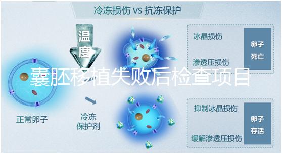 囊胚移植失敗后檢查項目,查免疫、內分泌必不可少