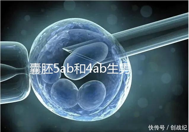 囊胚5ab和4ab生男孩還是女孩,好孕比性別更重要