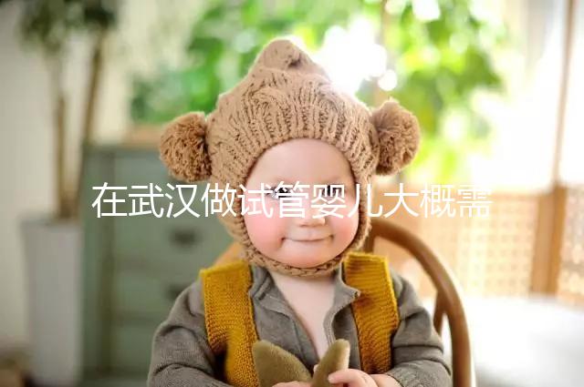 在武漢做試管嬰兒大概需要多少錢？武漢同濟醫院做試管可以選性別嗎？