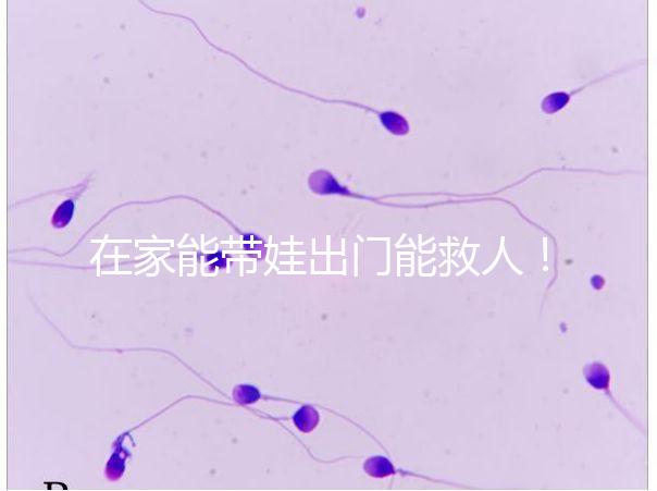 在家能帶娃出門能救人！張云鵬醫生為救人將孩子塞路人