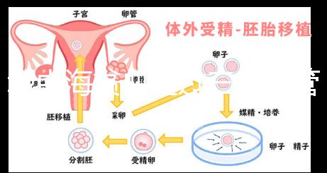地中海貧血通過三代試管嬰兒真的可以生出健康的孩子嗎？
