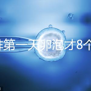 促排第一天卵泡才8個(gè)別慌，怎么辦、多大正常一文說(shuō)清