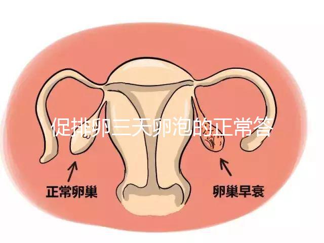 促排卵三天卵泡的正常答案是什么？取出8毫米卵原細胞的時間