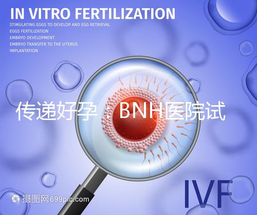 傳遞好孕:BNH醫(yī)院試管嬰兒真實案例及經驗分享