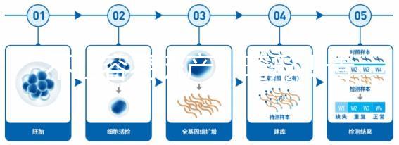 不止容易流產、畸形！告訴你為什么絕經以后不能生孩子