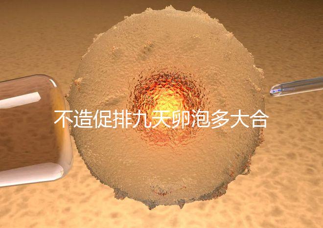 不造促排九天卵泡多大合適的瞧，卵巢功能好卵子10還能長