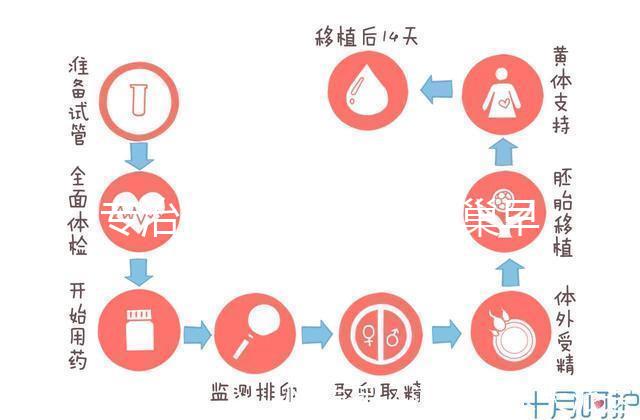 專治停經、絕經、卵巢早衰？利維愛的作用與適應癥分析