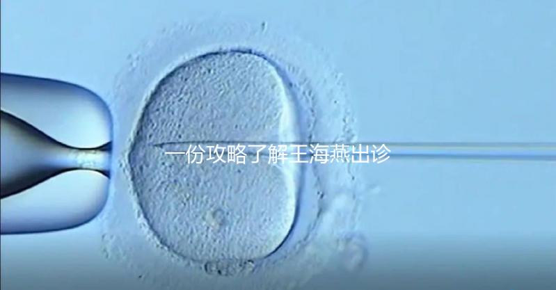 一份攻略了解王海燕出診表，讓你在北醫三院掛號更簡單