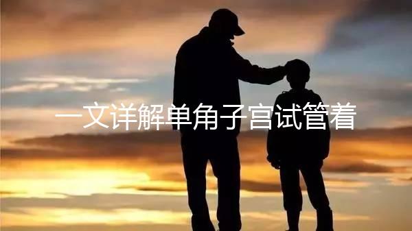 一文詳解單角子宮試管著床困不困難，失敗或和這幾點(diǎn)有關(guān)