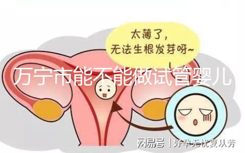 萬寧市能不能做試管嬰兒？姐妹們都去哪里做試管？
