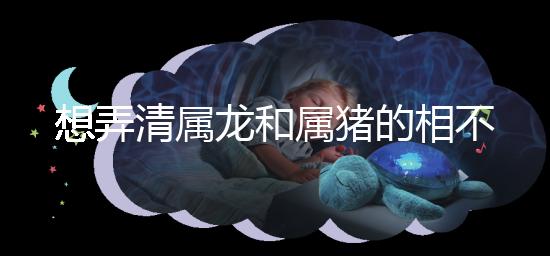 想弄清屬龍和屬豬的相不相配速覽，合得來(lái)不都幫你總結(jié)了