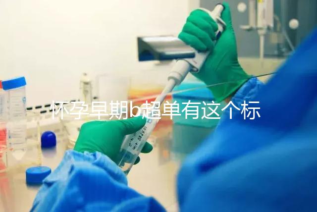 懷孕早期b超單有這個(gè)標(biāo)志一般是女孩，孕囊數(shù)據(jù)暗藏玄機(jī)