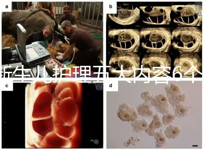 新生兒護理五大內容6個要點整理,嬰兒養(yǎng)育照護干貨來了