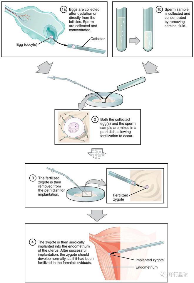 武漢四維彩超費用表整理，內附市婦保院超全預約攻略