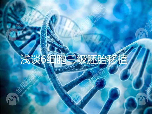 淺談6細胞三級胚胎移植成功率高低，是養還是移看完便知