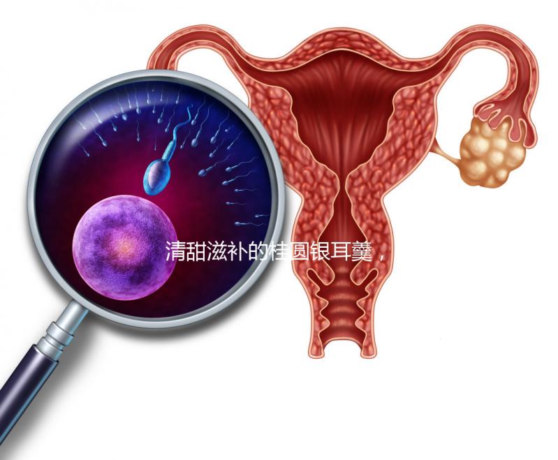 清甜滋補(bǔ)的桂圓銀耳羹,孕婦食用不再擔(dān)心上火