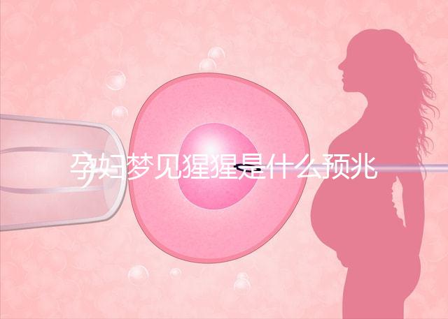 孕婦夢見猩猩是什么預兆？帶你了解相關胎夢解讀