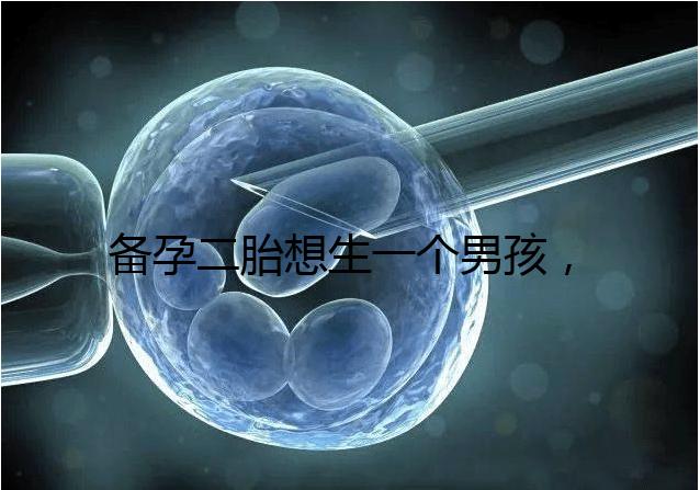 備孕二胎想生一個男孩，在鞏義市能做試管嬰兒嗎？