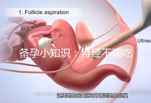備孕小知識(shí):月經(jīng)不調(diào)吃黃體酮或補(bǔ)佳樂(lè)還是達(dá)英35好