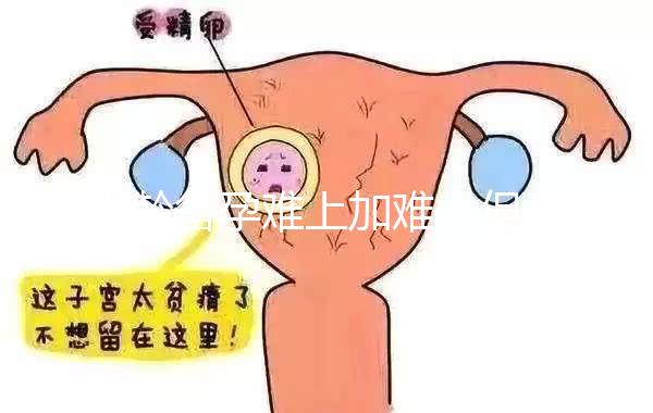 大齡備孕難上加難，但為什么越年輕的女性越容易懷孕？