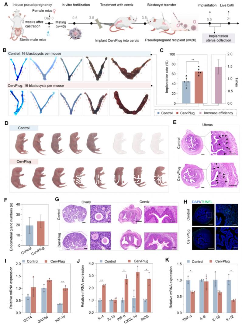 多家品牌嬰兒學步車被召回,過早使用危害真不小